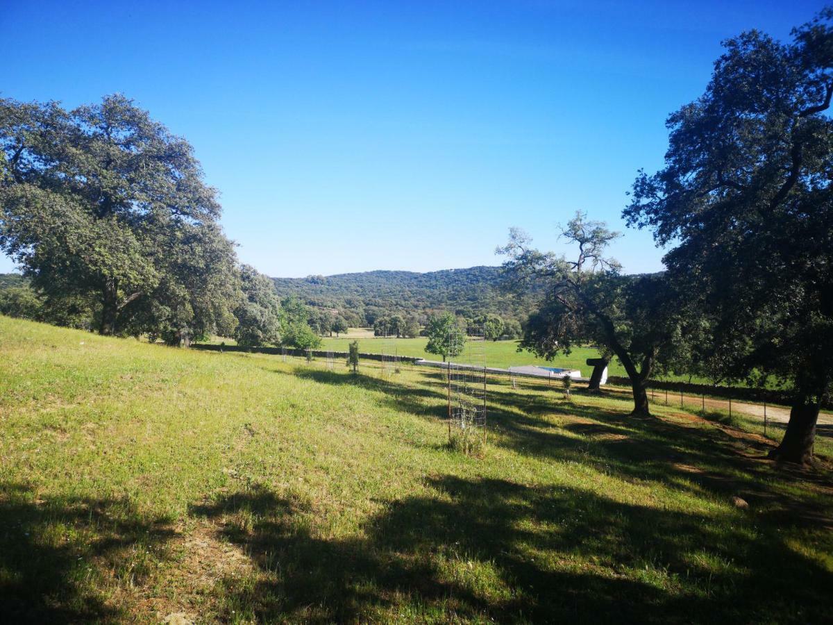 Casa Rural La Dehesilla Cazalla de la Sierra Exterior foto