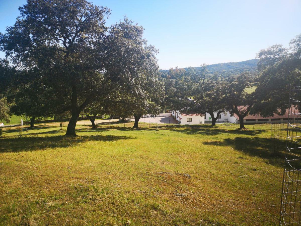 Casa Rural La Dehesilla Cazalla de la Sierra Exterior foto